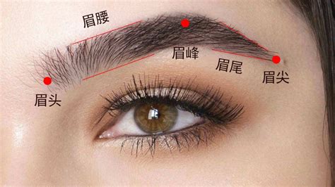 眉头|眉头 : brows... : méi tóu 